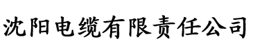 极品家丁催眠改编版电缆厂logo